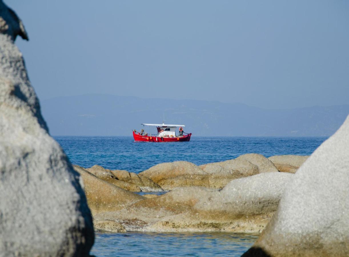 Thodoros Apartment Sykia Chalkidikis Esterno foto