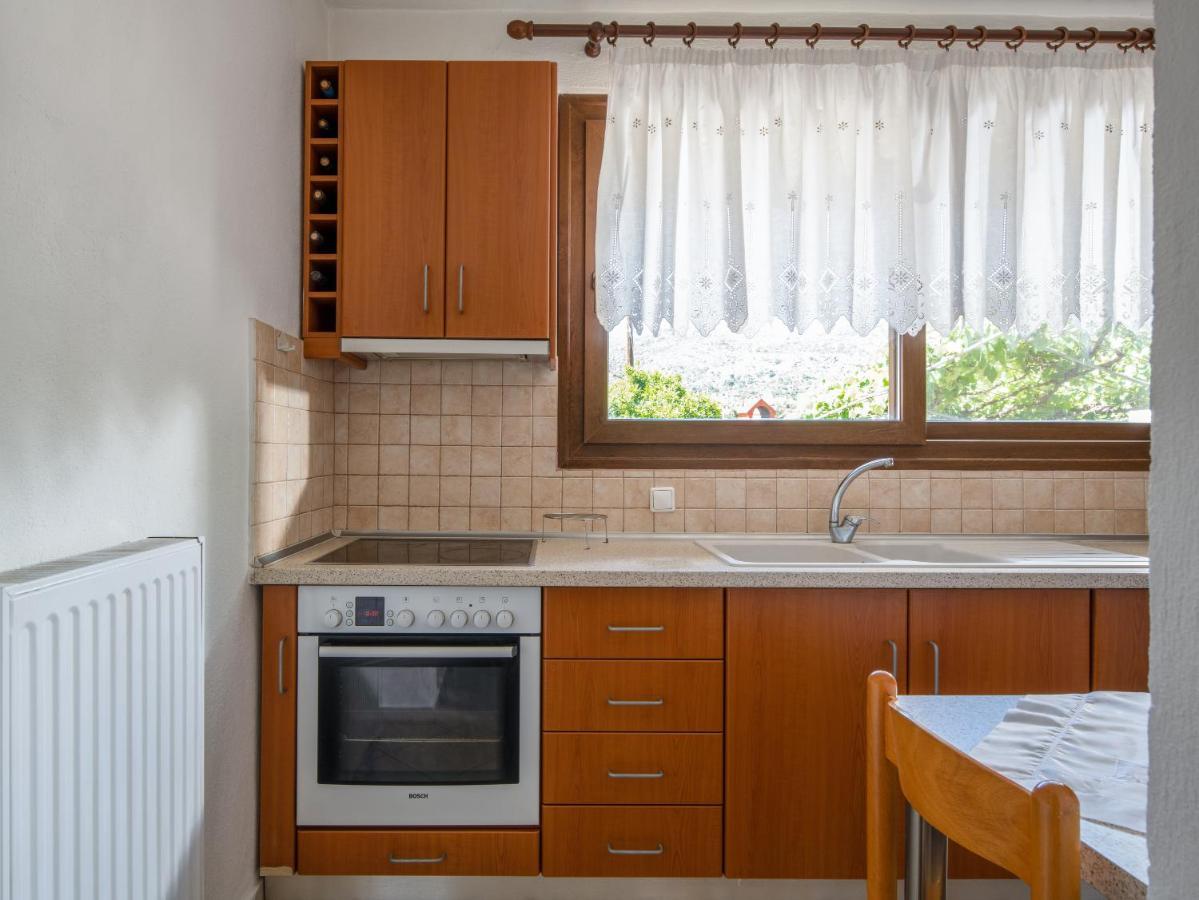Thodoros Apartment Sykia Chalkidikis Esterno foto